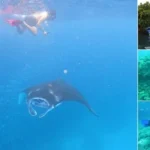 Nusa Penida Snorkeling Tour