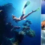 Tulamben Snorkeling Tour